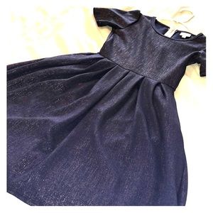 NWOT LulaRoe Amelia dress xxs elegant collection